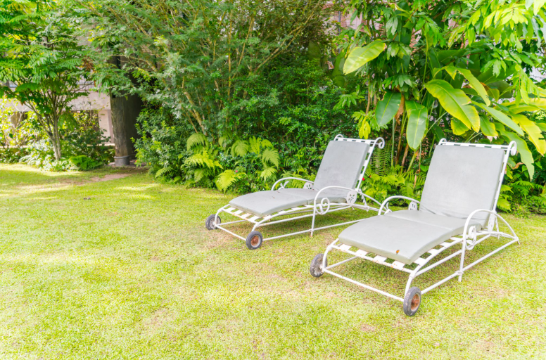 Tips for Keeping Your Yard Looking Great All Year Round
